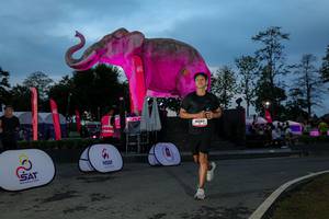 BIB: 
                            <button type="button" onclick="openModal(26529717)" class="btn btn-primary btn-sm float-right btn-popup" data-toggle="modal" data-target=".modal-high-quality">
                        <i class="fas fa-shopping-cart"></i> Add to Cart
                    </button>
                                            <button type="button" onclick="isThisMe(26529717, true)" class="btn btn-success btn-sm float-right btn-popup btn-isme hidden" data-toggle="tooltip" data-placement="bottom" title="นี่คือรูปของคุณใช่ไหม คลิกที่นี่เพื่อเอาเข้าอัลบั้ม">
                        <i class="fas fa-plus"></i> Add to album
                    </button>
                    <button type="button" onclick="isThisMe(26529717, false)" class="btn btn-warning btn-sm float-right btn-popup btn-isnotme hidden">
                        <i class="fas fa-ban"></i> Remove from album
                    </button>